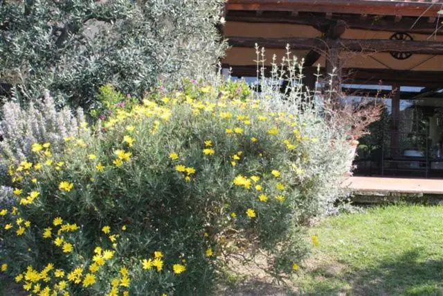 La casa nella Macchia