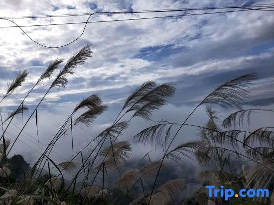 Jushe Featured Guesthouse