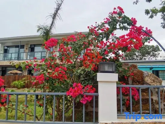 Weizhou Island Qihai Pan Custom Vacation Apartment (Shell Beach)