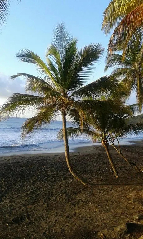 Maison de la Plage