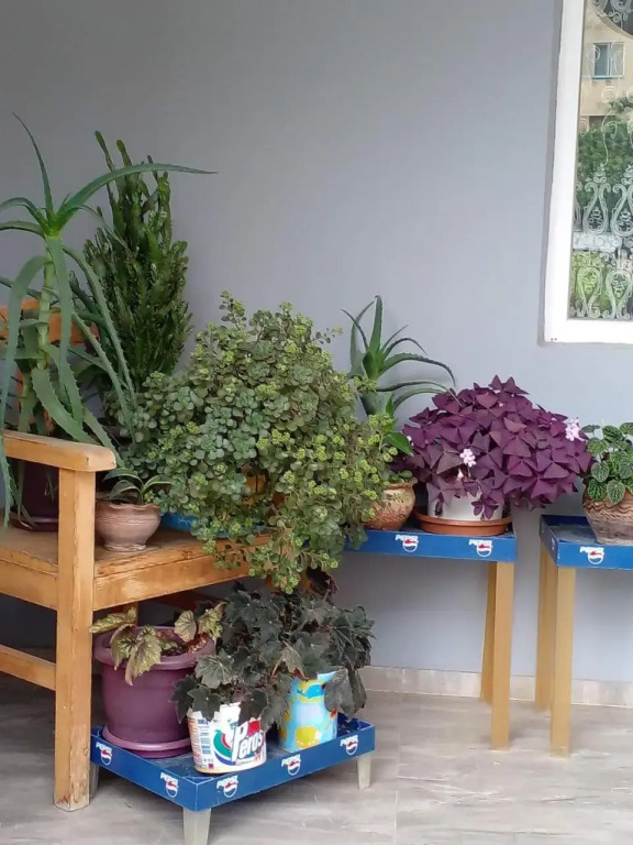 Guest House Rusudan