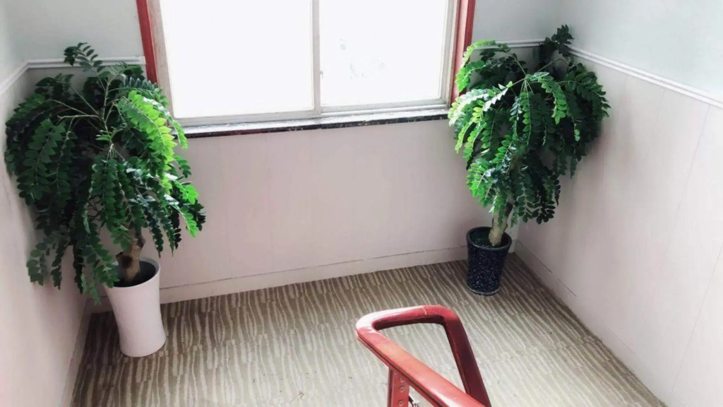 Long Wan Hotel（Wuhan jiuquanjia International Plaza Xingyuan Street store）