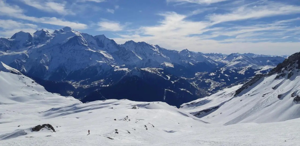 Chalet Montagne 11 P Grand Massif 100 M Telecabine