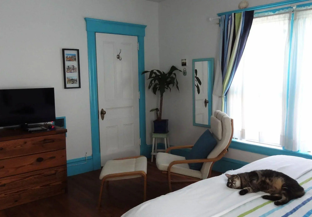 The One Cat B&B