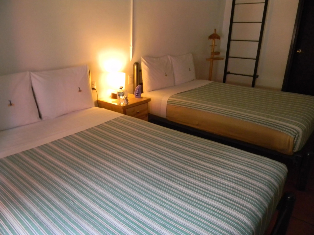 Mexico City Hostel