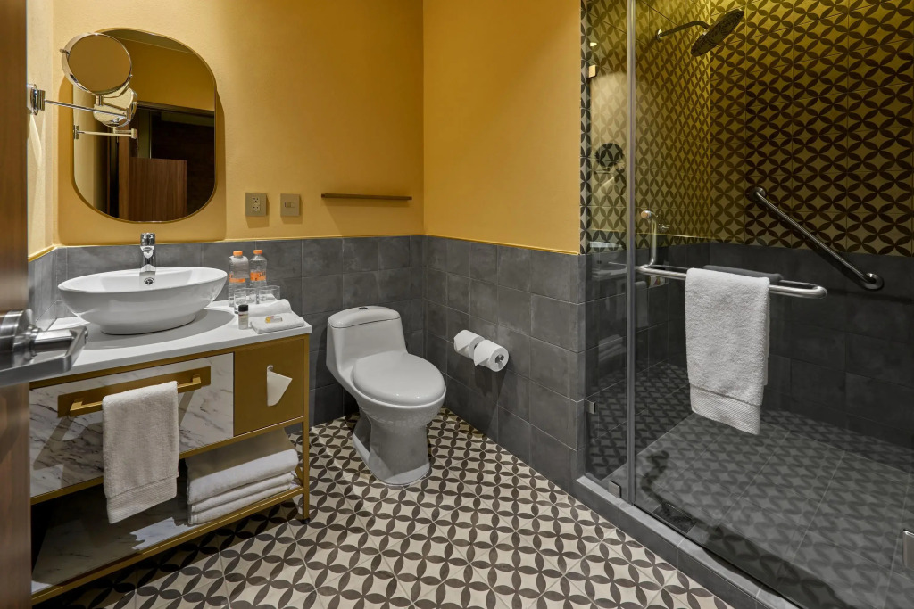 City Centro by Marriott San Luis Potosi