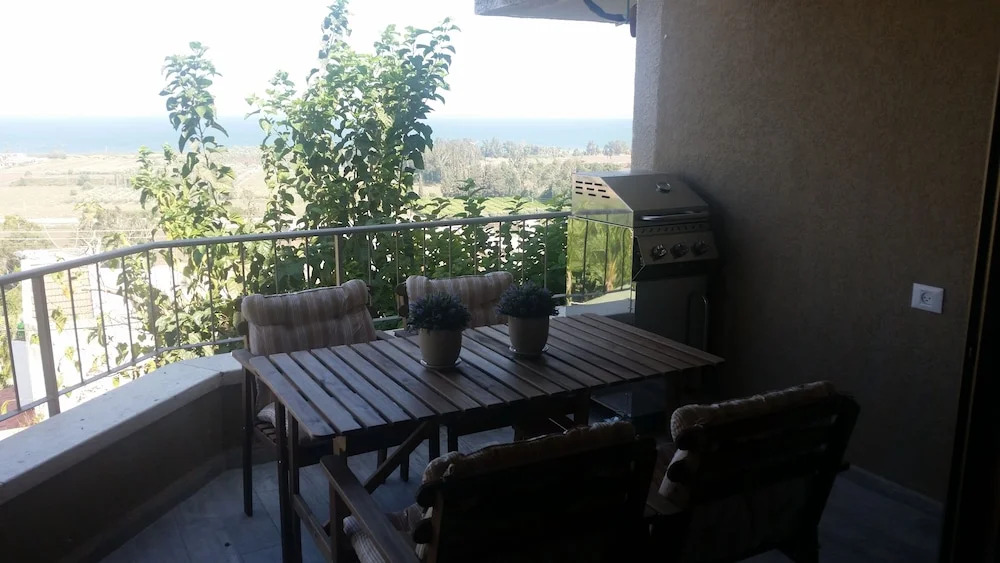 Shalva Mol Kinneret