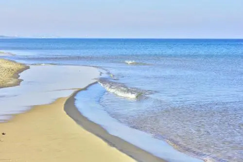 Bajkowa Plaża - Muszelka