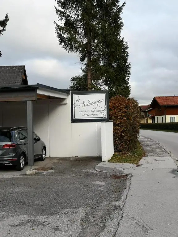 Die Schladmingerin