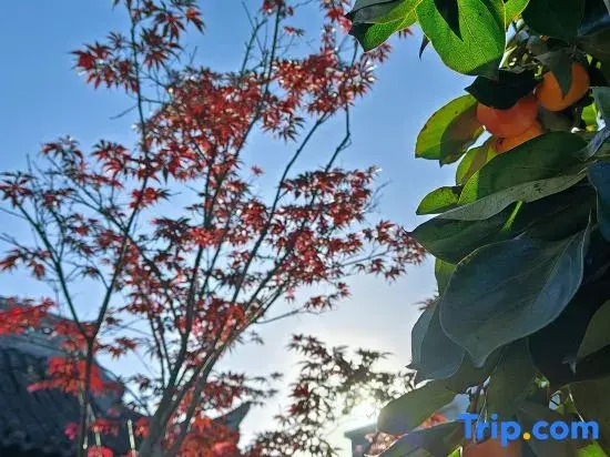Xiansheng Duimen Traditional Chinese Medicine Wellness Homestay