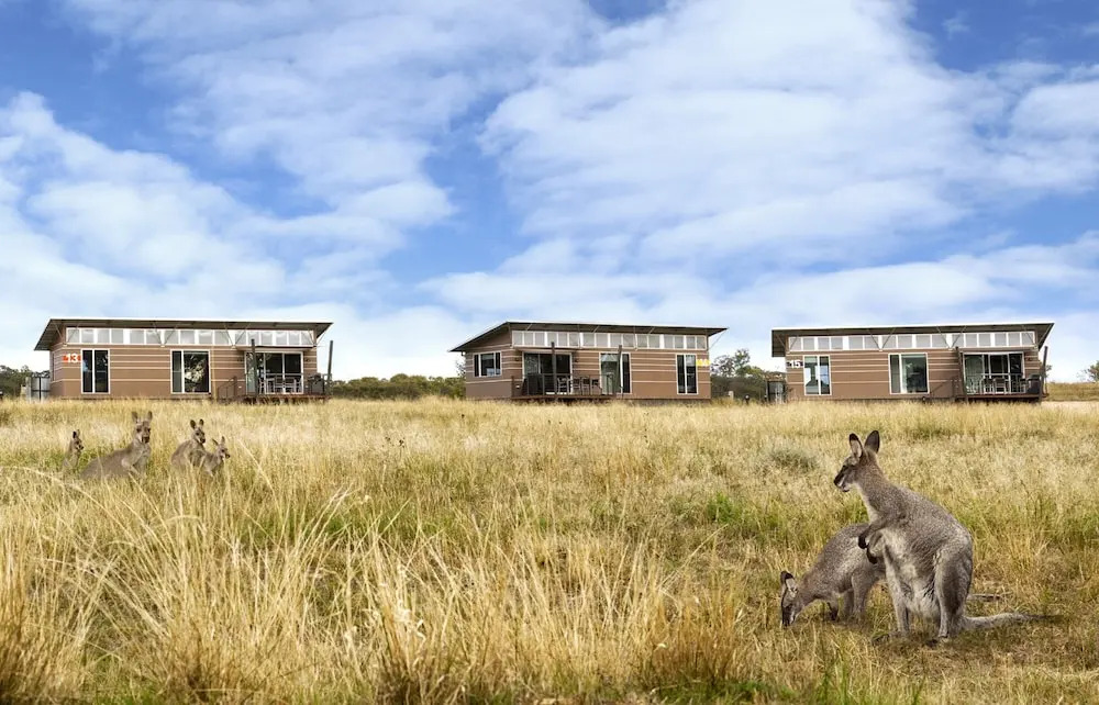 Savannah Cabins