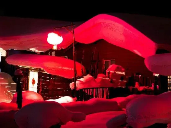 Lao Dongbei Inn (Xuexiang National Forest Park Store)
