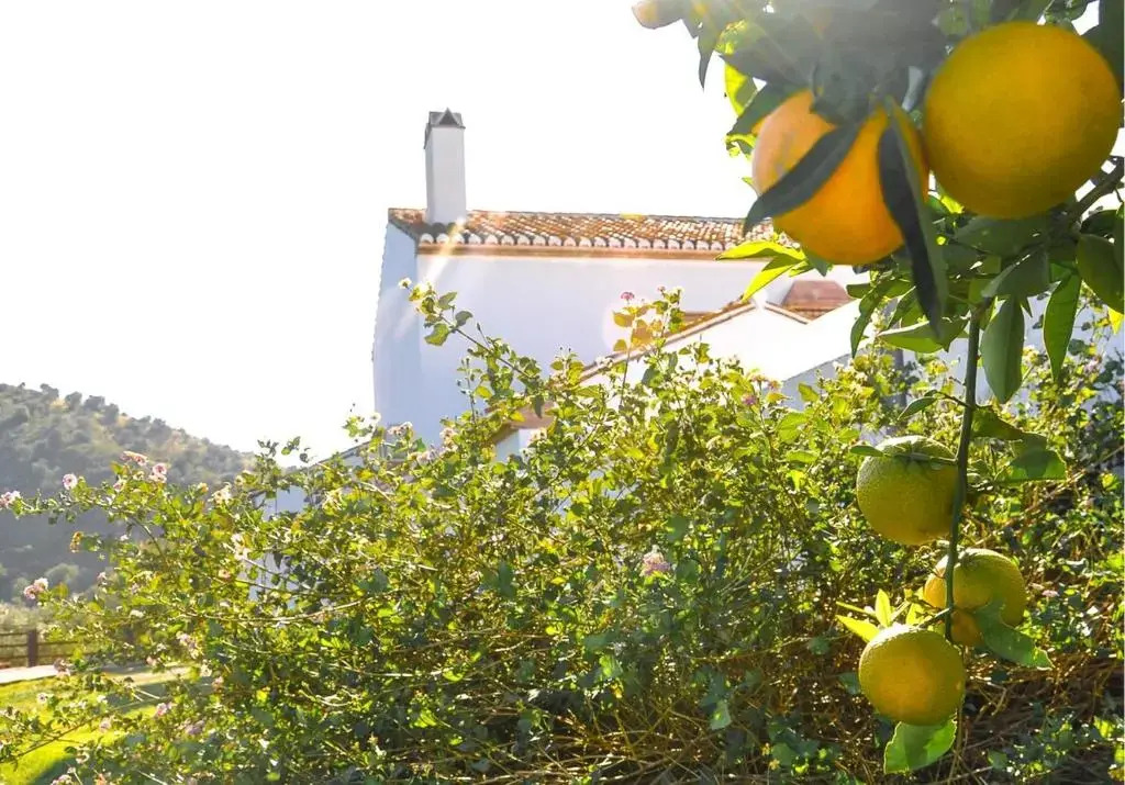 Cortijo Las Caballerias