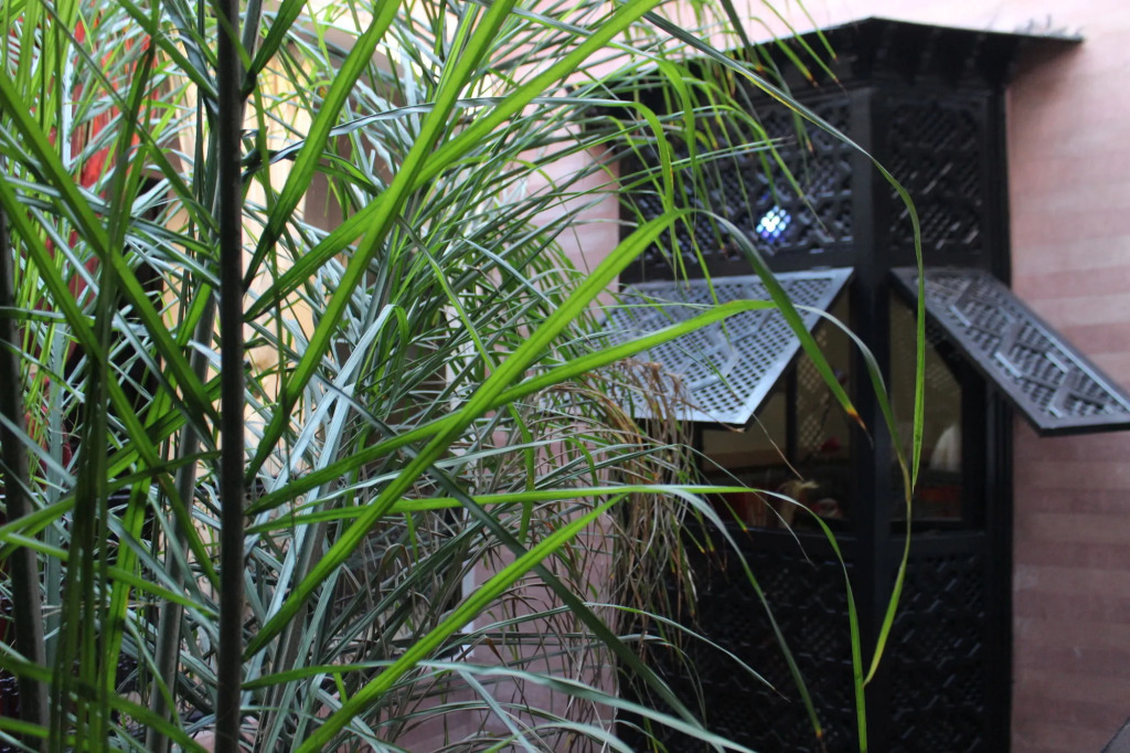Riad dar Ourika & SPA