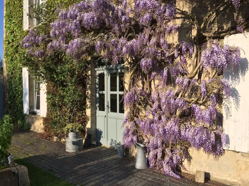 Le Clos Poulain