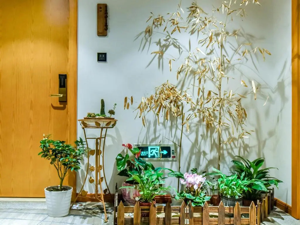 Novo Hotel Chongqing