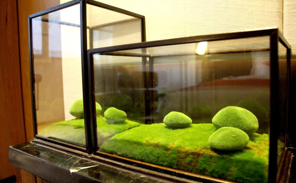QI Hotel