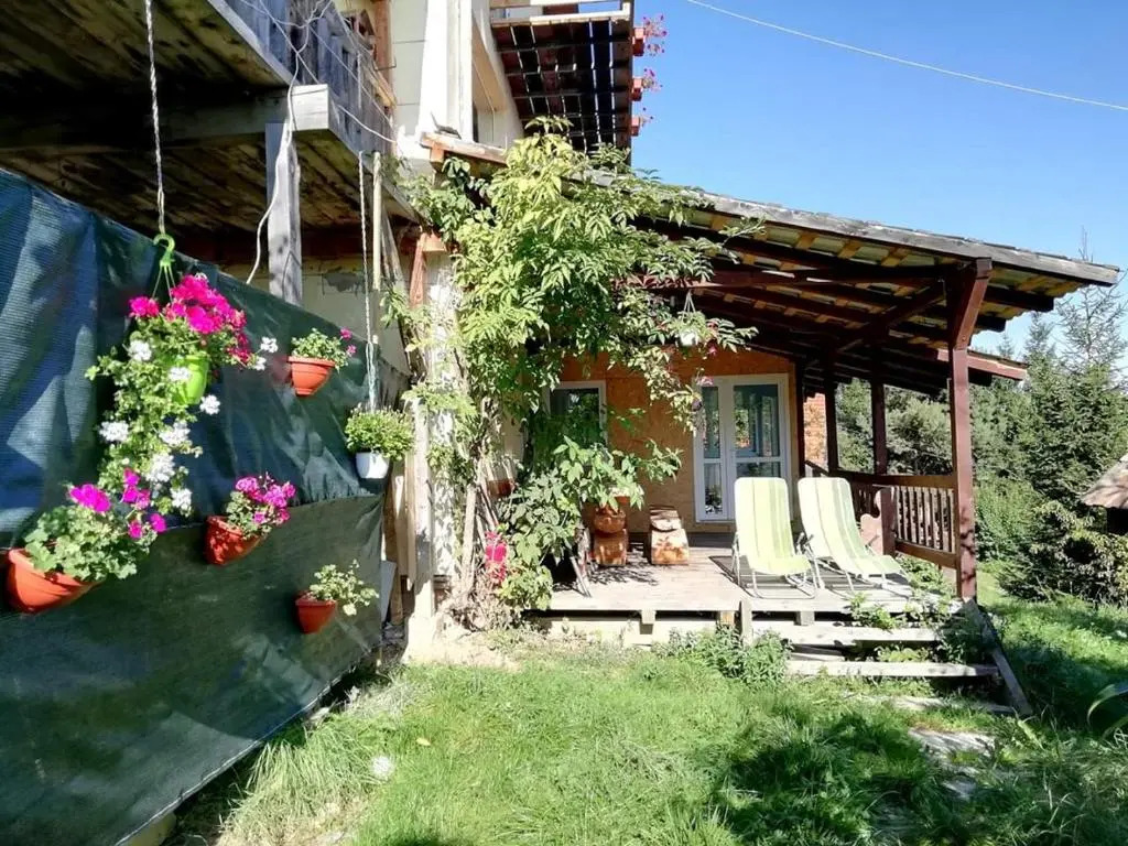 Casa De Sub Padure