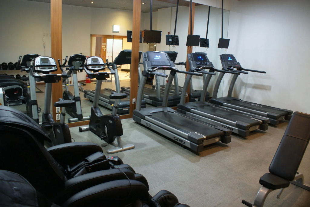 Ibis Ambassador Suwon