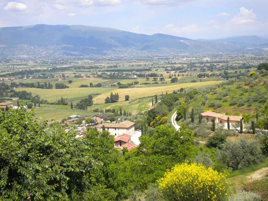 Il Poggio degli Olivi