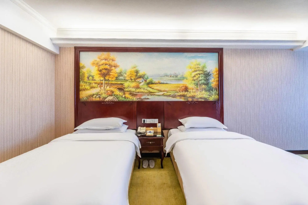 Vienna Hotel (Emerald  Lake  Branch, Changsha Ningxiang  High-speed Railway Weat Station)
