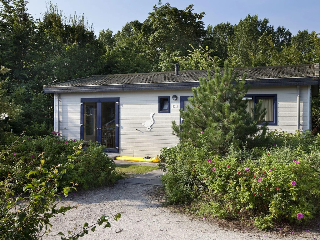 Family Chalet in Netherlands Holiday Park