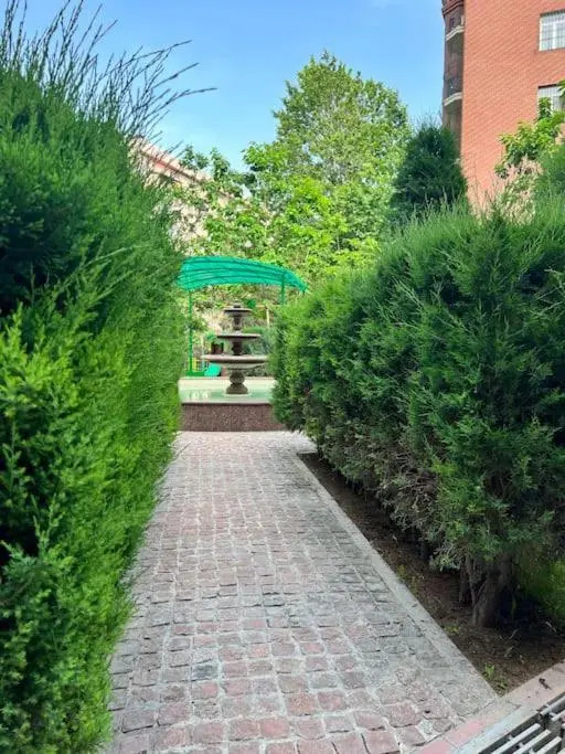 Rent 3 room apartments in Tashkent