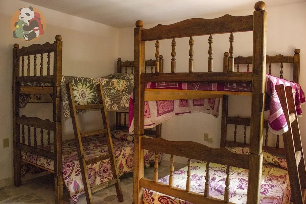 Panda Viajero Hostal