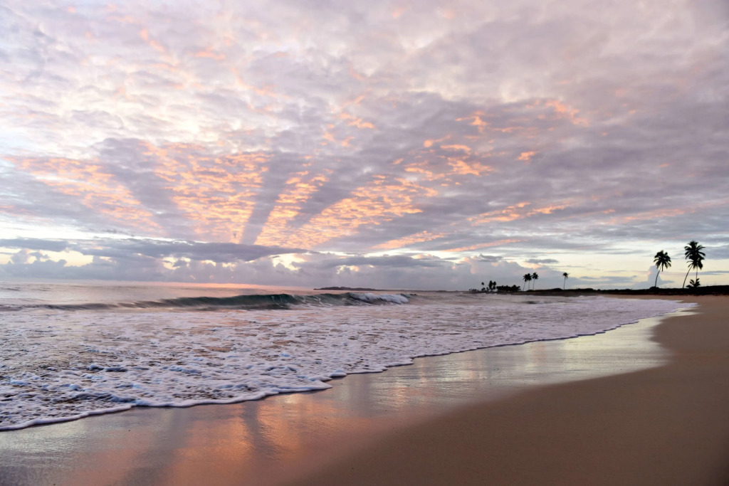 Royalton CHIC Punta Cana, An Autograph Collection All-Inclusive Resort & Casino – Adults Only