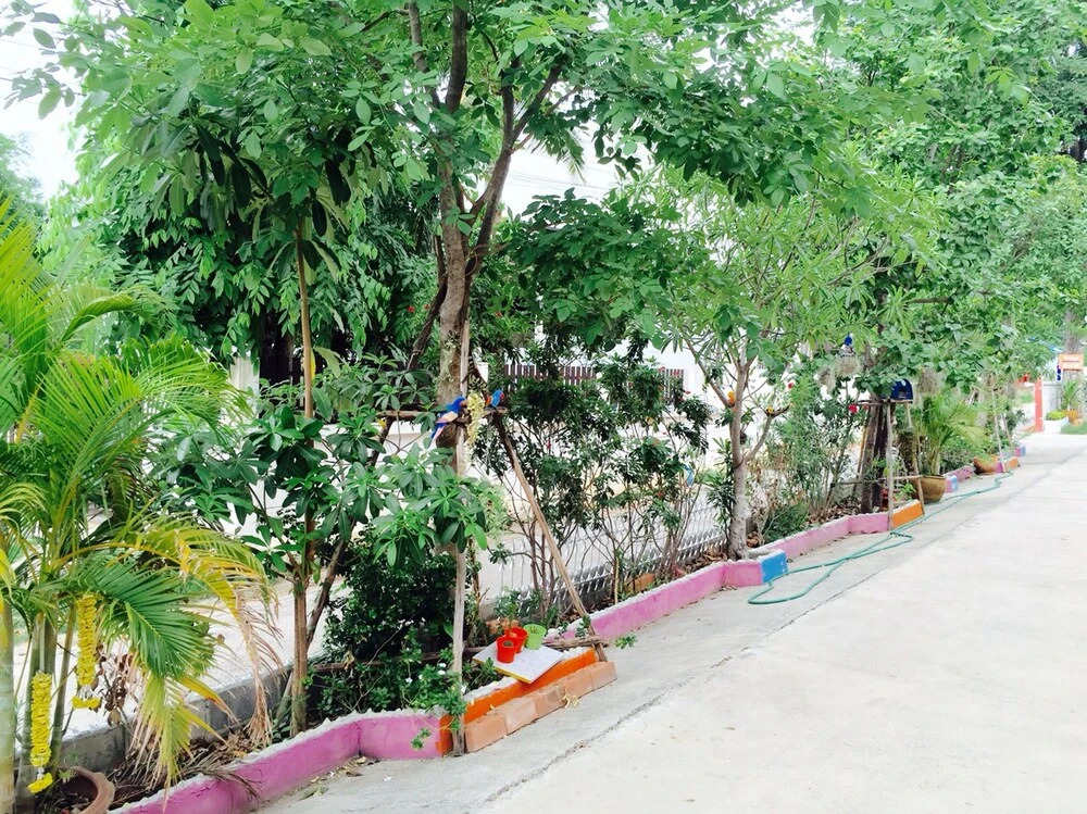 P House