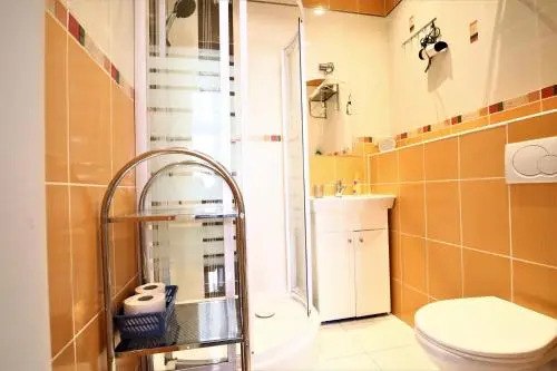 Apartment on Krale Jiriho 2