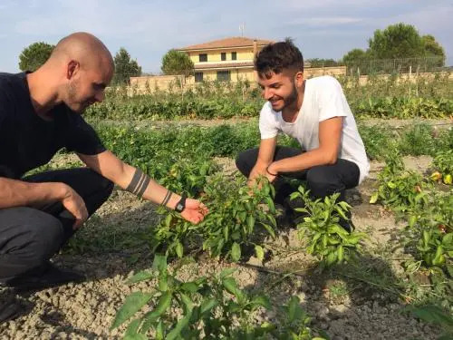 Agriturismo La Casa Di Botro