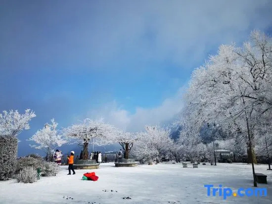 Yuanye Yunshu Hostel
