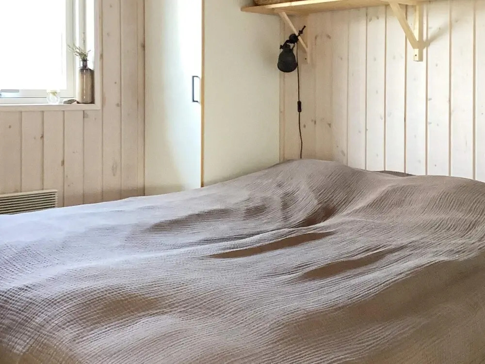 5 Person Holiday Home in Brovst