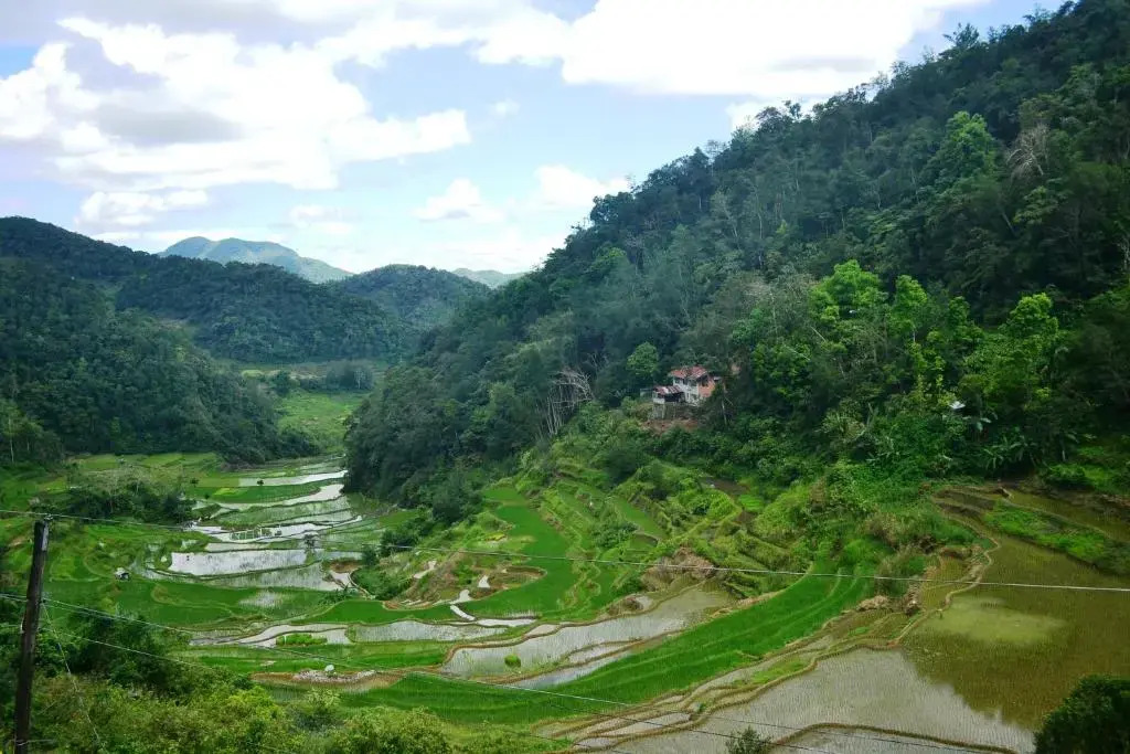 Banaue Greenfields Inn and Restaurant