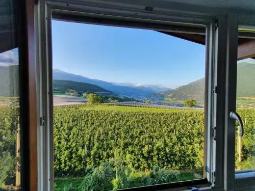 WEINBERG APARTMENTS & Brixen Südtirol Guest Pass