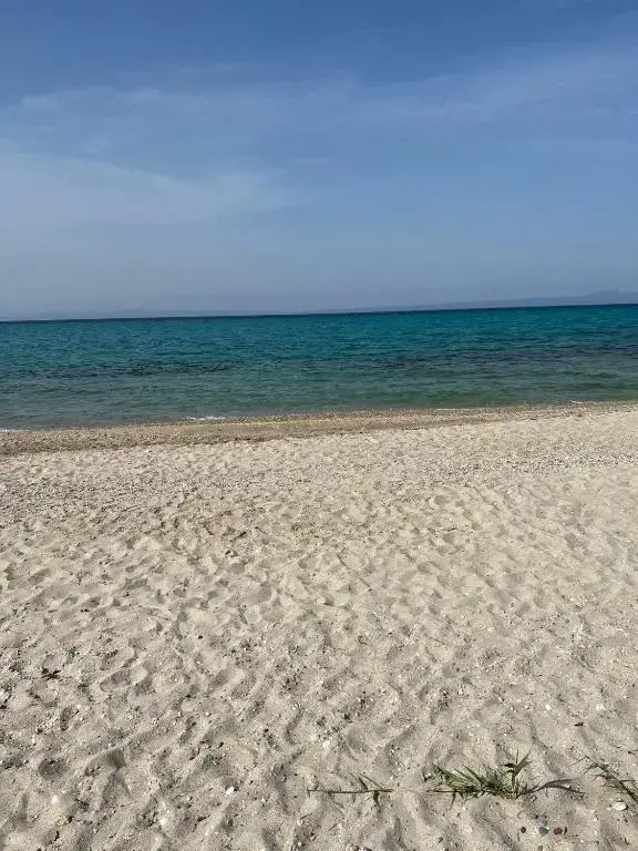 Beach next to the House Agni