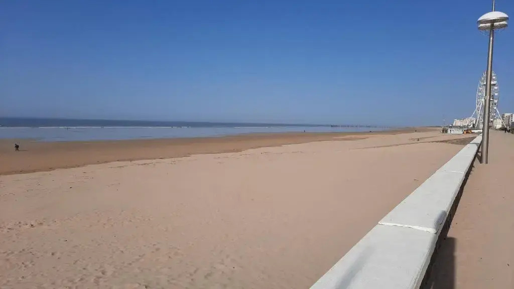 Appartement Les Ondines 2 chambres front de mer
