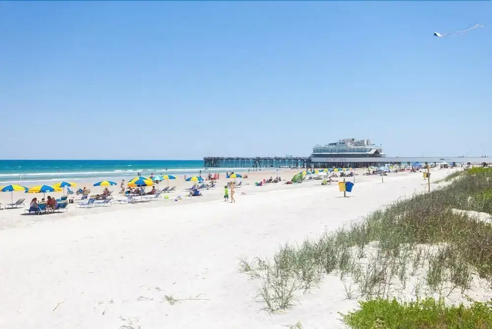 Shores Club 802 - Two Bedroom Condo