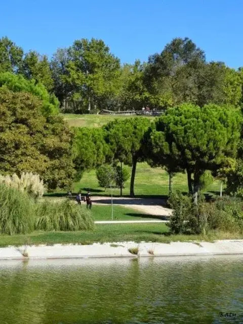 Apartamentos pandiellos I