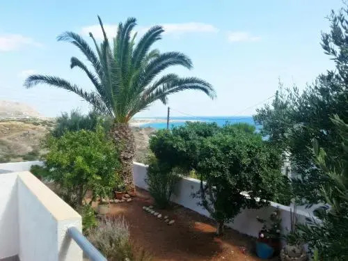 Villa Xenia