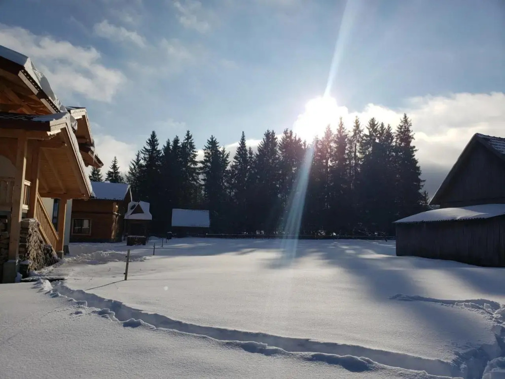 Apartments Chalet Girska Hatyna