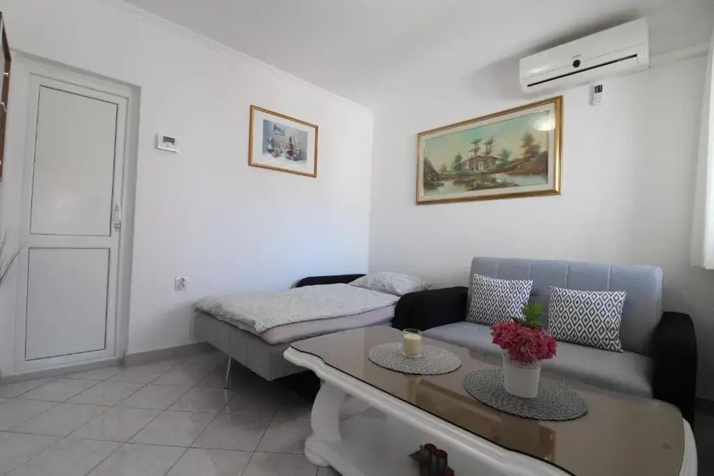 Apartment Vlado