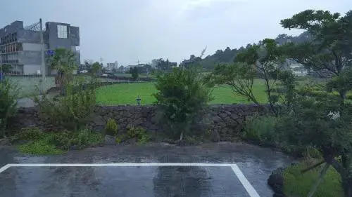 Oh Happy Day Jeju
