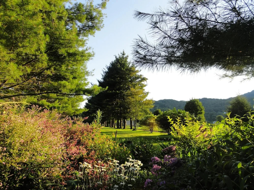 VCI - Elderberry Overlook