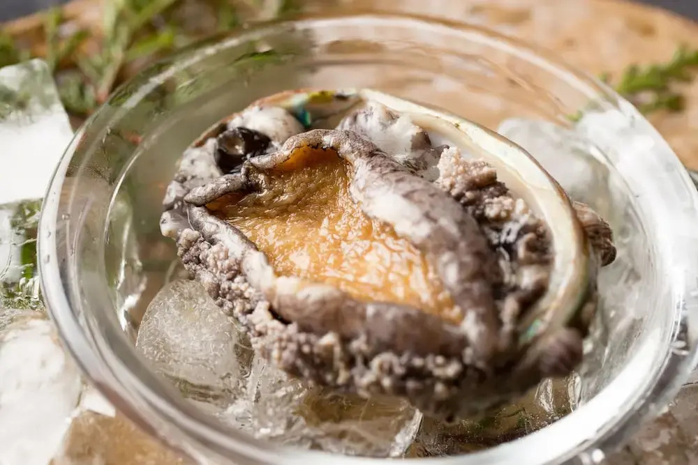 Kinosaki THE CRAB HOUSE KANIAN