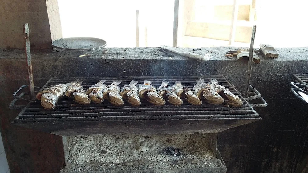 Sunu Makane