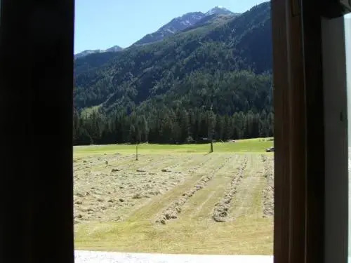 Albergo Thurwieser