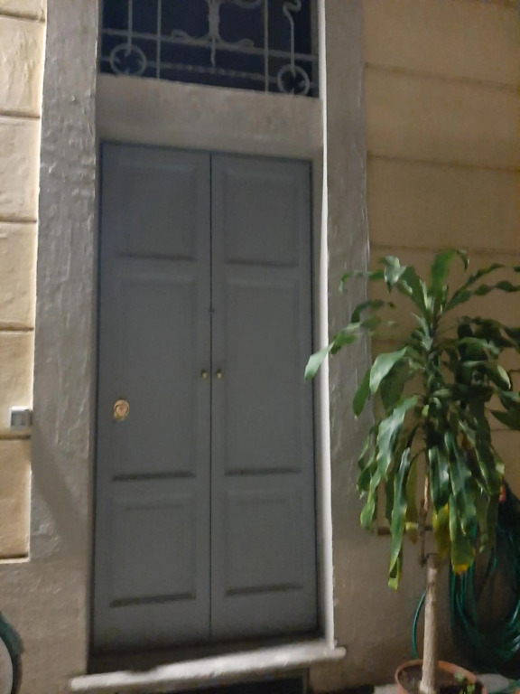 Savoia 19