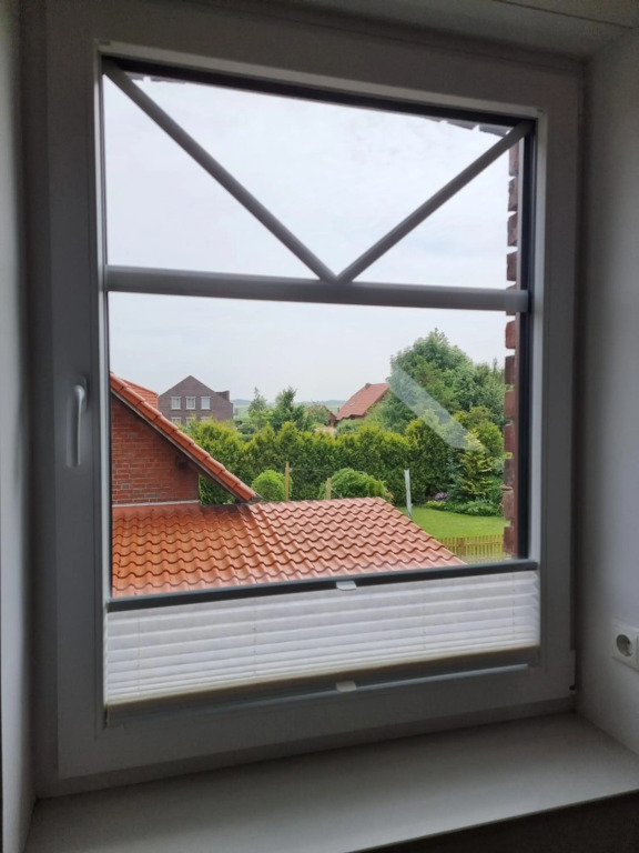 Frischer Wind